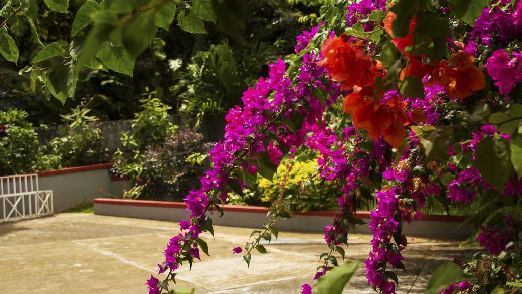 Classique International In Dominica Marigot Phòng bức ảnh