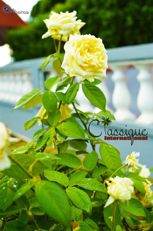 Classique International In Dominica Marigot Ngoại thất bức ảnh