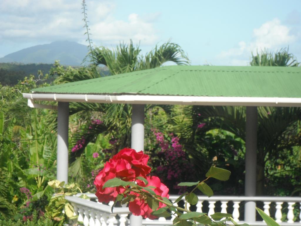 Classique International In Dominica Marigot Phòng bức ảnh