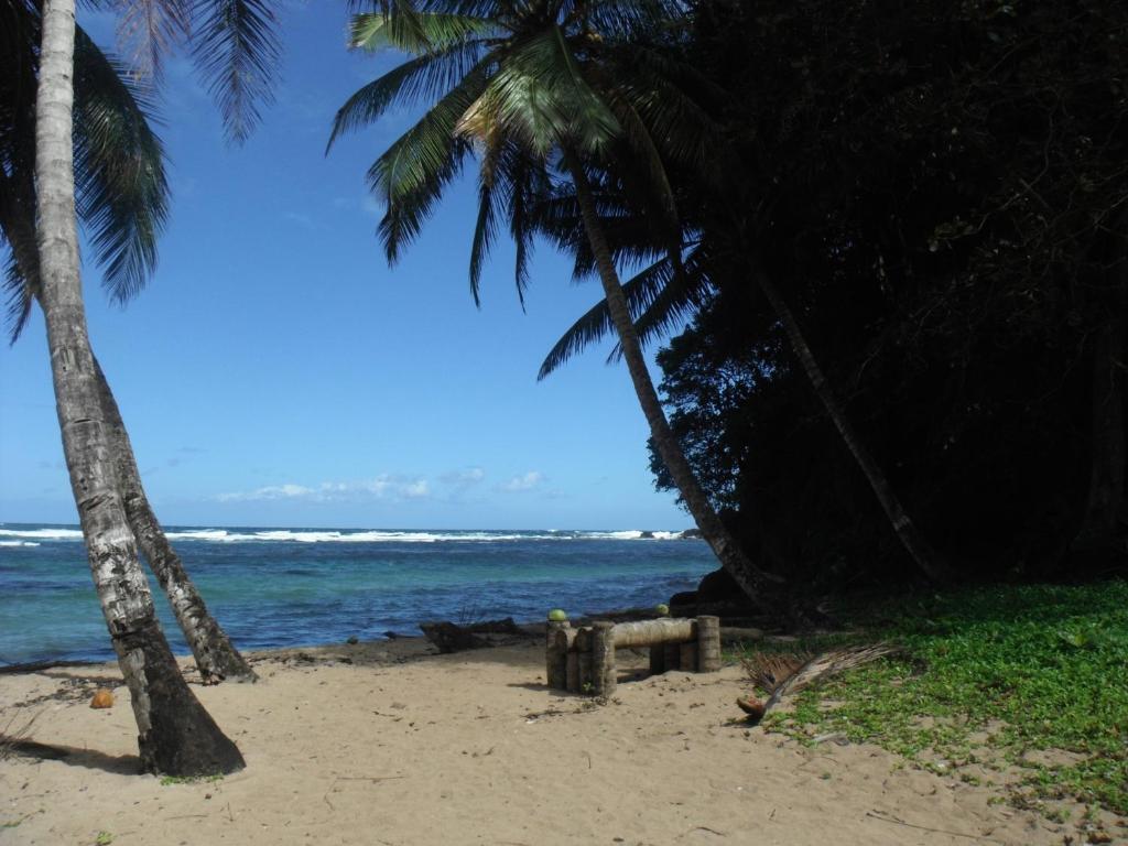 Classique International In Dominica Marigot Ngoại thất bức ảnh
